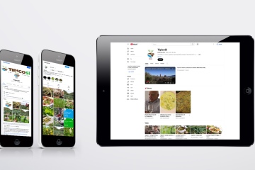 Domino-app-social-001